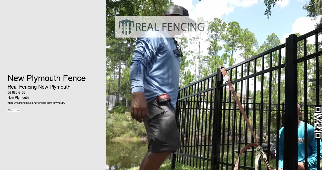 Invisible Fence For Dogs NZ