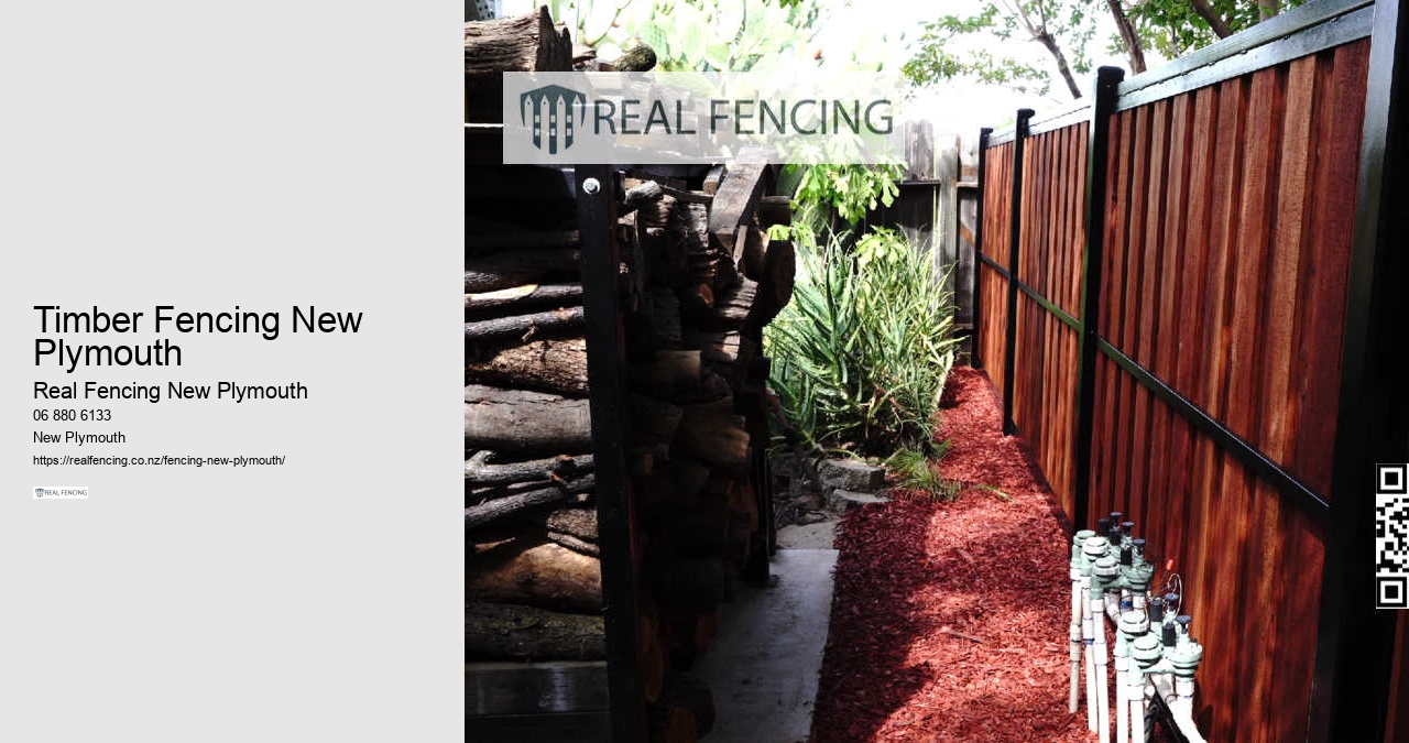 Invisible Dog Fence NZ